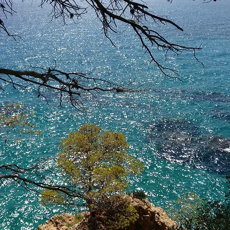 La Masia Costa Brava -adults Only Oda ve Kahvaltı